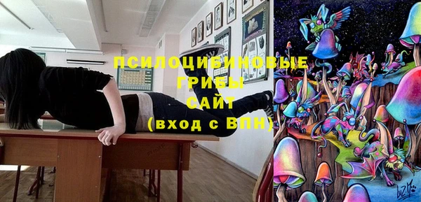 мдпв Абинск
